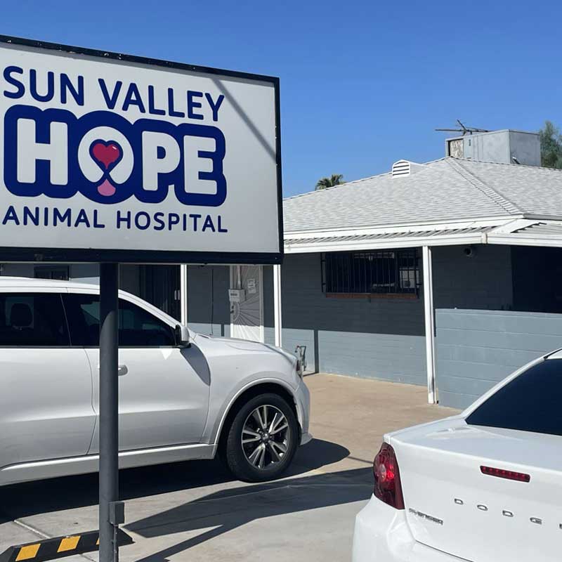 Glendale Pet Hospital