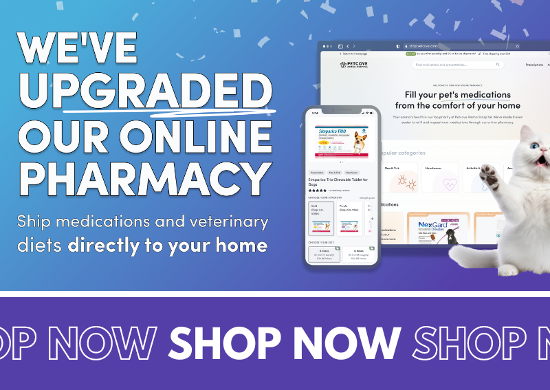 Carousel Slide 1: Visit our new and improved pet pharmacy and store!